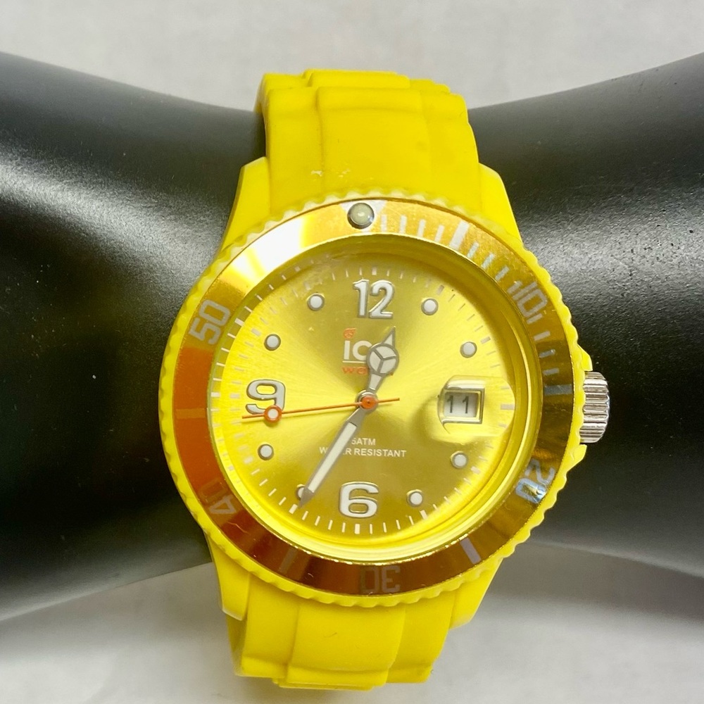 NEW Auth ICE Watch